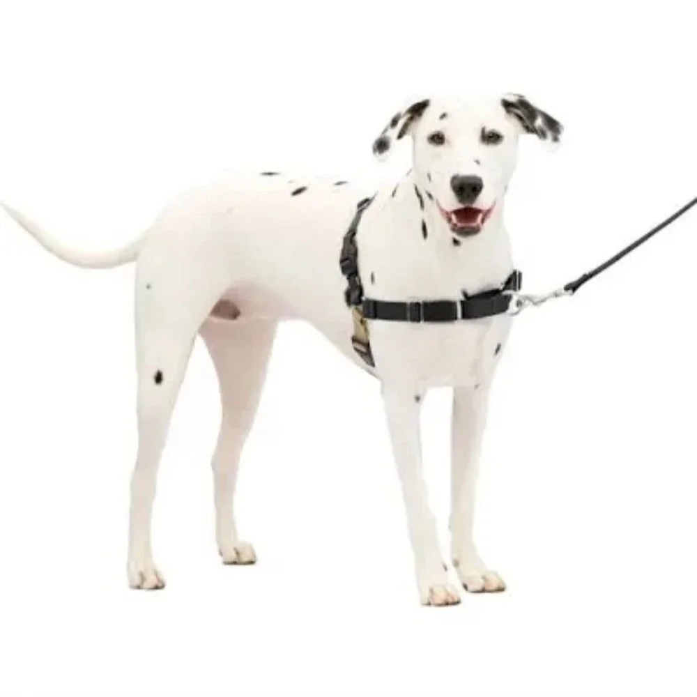 Easy Walk No-Pull Dog Harness & Retractable Lead Set - Large